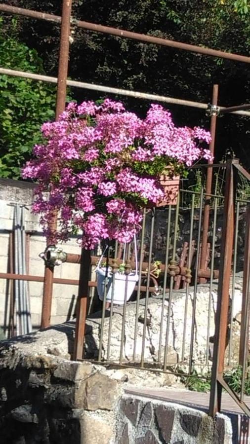 Maison De Marina B&B Piano di Follo Zewnętrze zdjęcie
